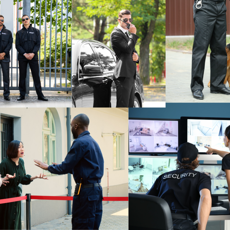 missions agence de sécurité